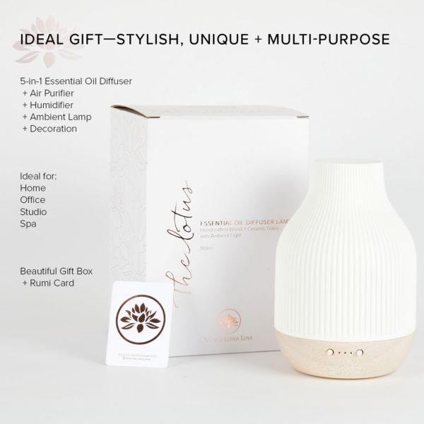 5-in-1 air purifier, humidifier, ambient lamp, essential oil diffuser and decoration