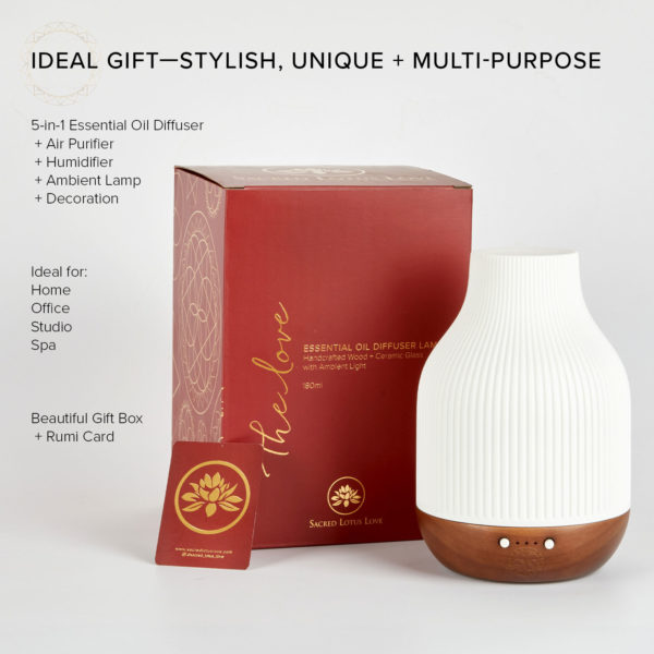 5-in-1 Air purifier, humidifier, ambient lamp, essential oil diffuser and decoration